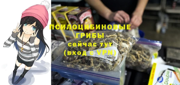 ГАЛЛЮЦИНОГЕННЫЕ ГРИБЫ Ладушкин