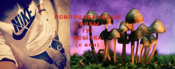 ГАЛЛЮЦИНОГЕННЫЕ ГРИБЫ Ладушкин