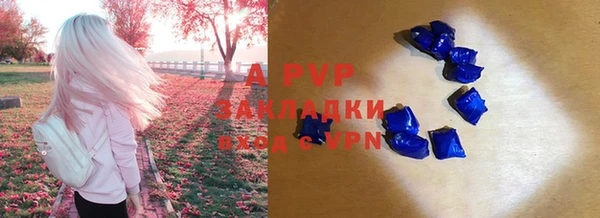 ГАЛЛЮЦИНОГЕННЫЕ ГРИБЫ Ладушкин